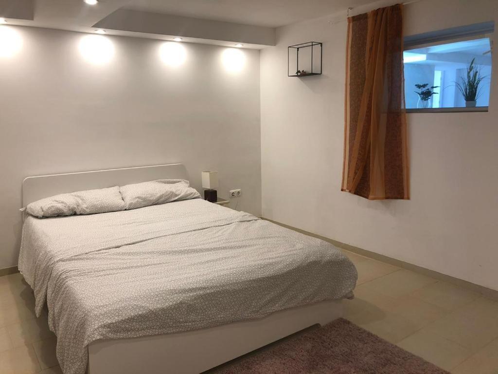 Bescheidene Untergeschoss Wohnung In Guter Lage. Köln Eksteriør billede